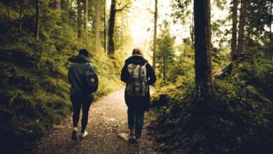 Ecoturismo e saúde mental: como o contato com a natureza reduz estresse e ansiedade
