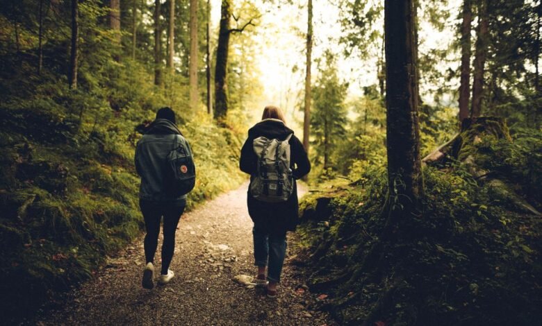Ecoturismo e saúde mental: como o contato com a natureza reduz estresse e ansiedade